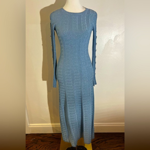 Saje Embellished Sleeve Dress - Picture 2 of 8